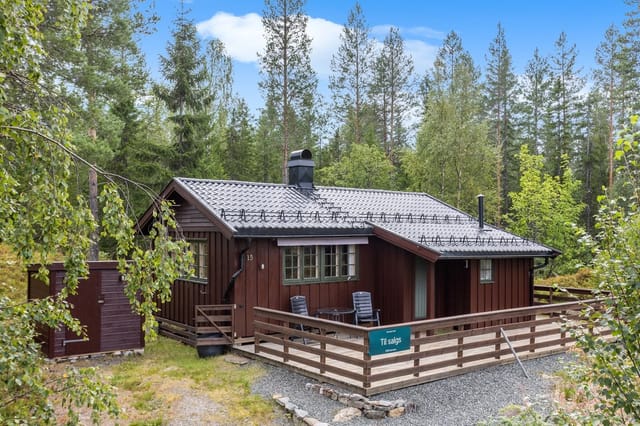 Welcome to Grytevatn and Veggesrudsetra 15!