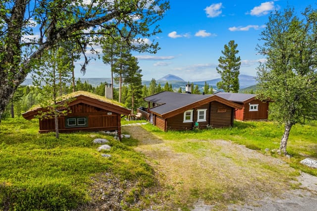 Charming and spacious mountain cabin in Skåbu