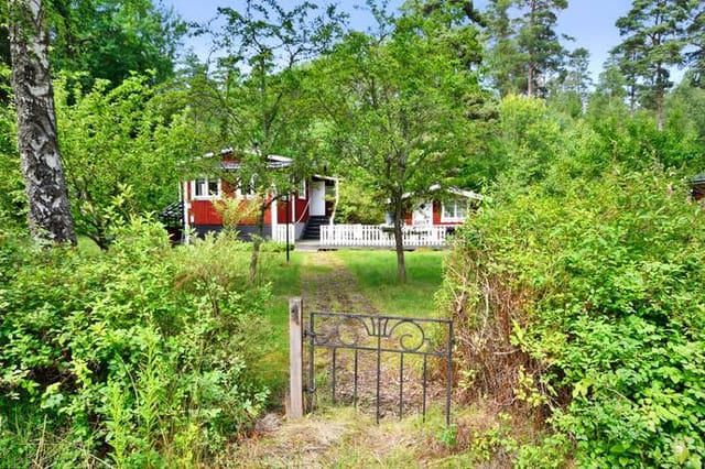 Front view of the house and garden