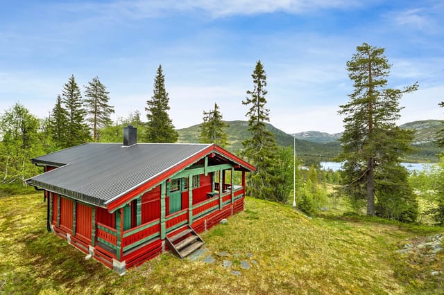 Front view of the cabin and surrounding nature