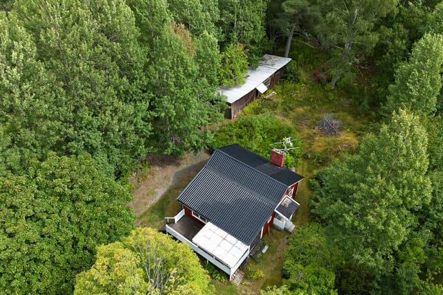Front view of the cottage and garden