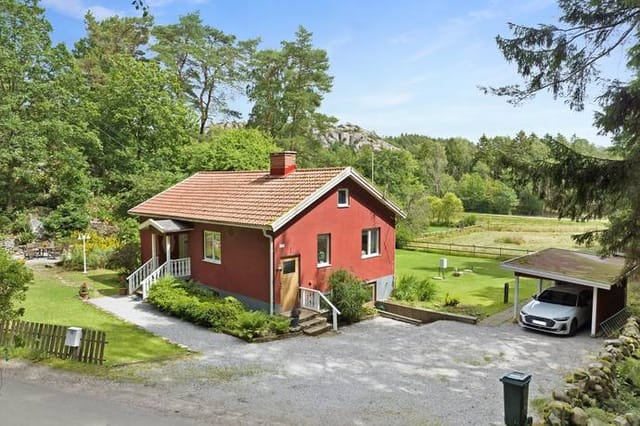 Front view of the house and garden