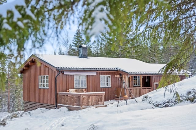 Well-maintained and cozy cabin