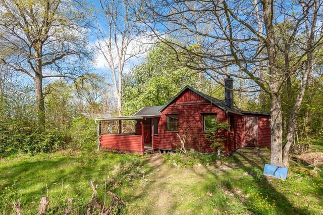 Exterior view of the cottage and garden