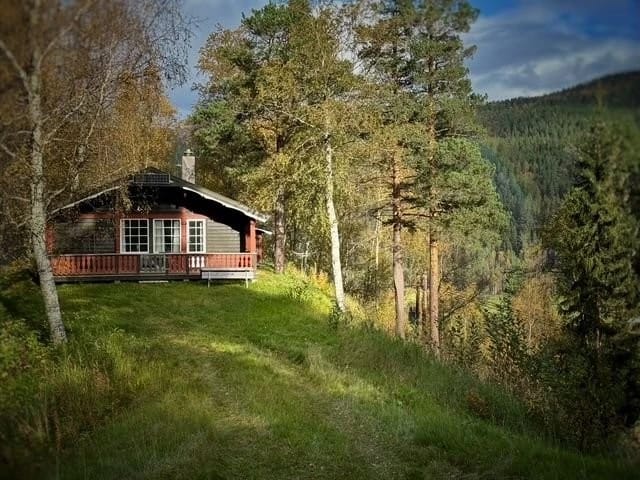 Secluded southwest forest cabin.