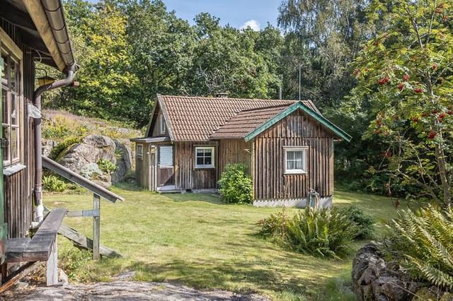 Exterior view of the house and surrounding nature