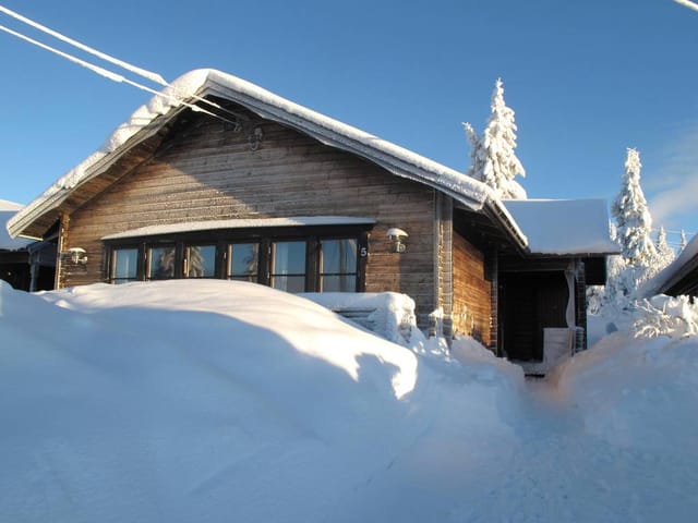 Exterior view of the house and surrounding nature