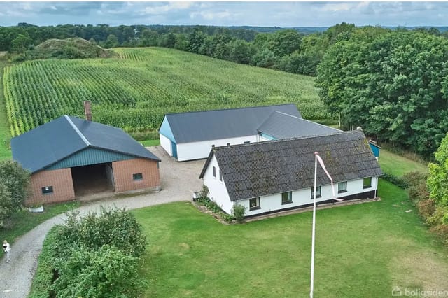 A white house with a thatched roof stands in a green garden area, surrounded by a barn and a garage. Fields and forest form the background under a cloudy sky.