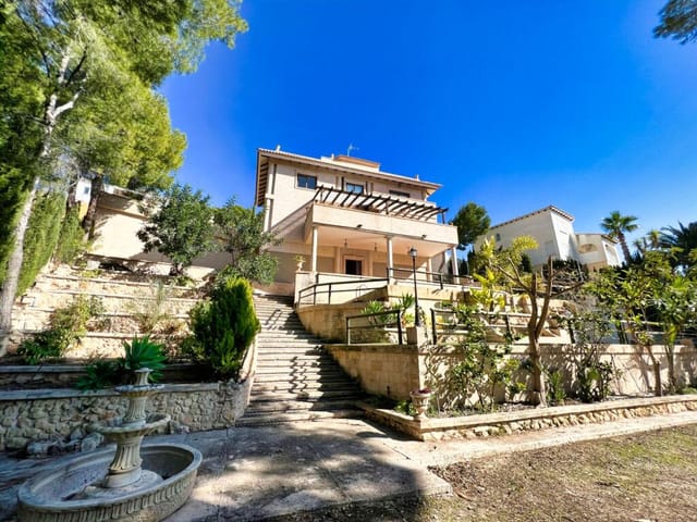 Picture 1