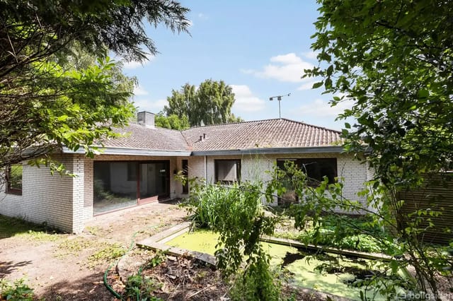 A low, white brick house stands quietly in a garden with green trees and bushes around. In front of the house is a small pond with green water and a path.