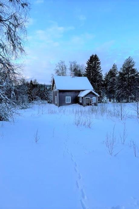 4 room farm with agriculture at Granåsen 29 Svanavattnet/Granåsen Dorotea kommun