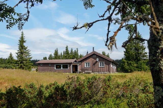 Front view of the cabin