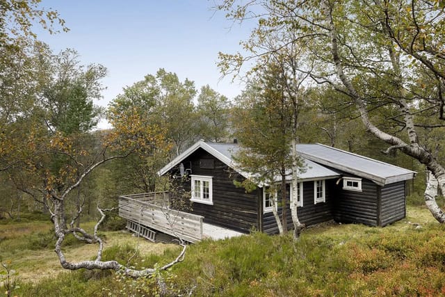Cozy cabin with electricity installed