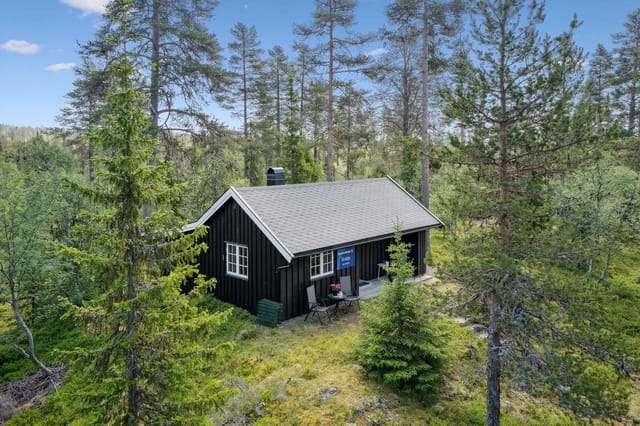 Welcome to Bjønnåsbrua-Pihl 50!