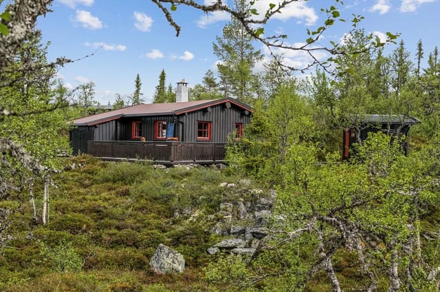 Welcome to Eltdalsfjellvegen 488