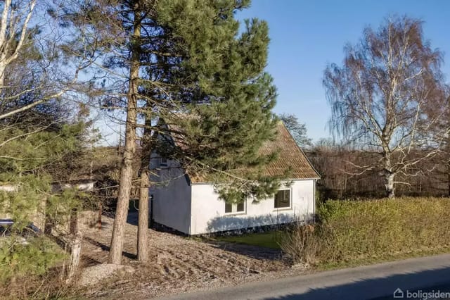 A house surrounded by large trees in a rural area with a sloping red tile roof and white walls.