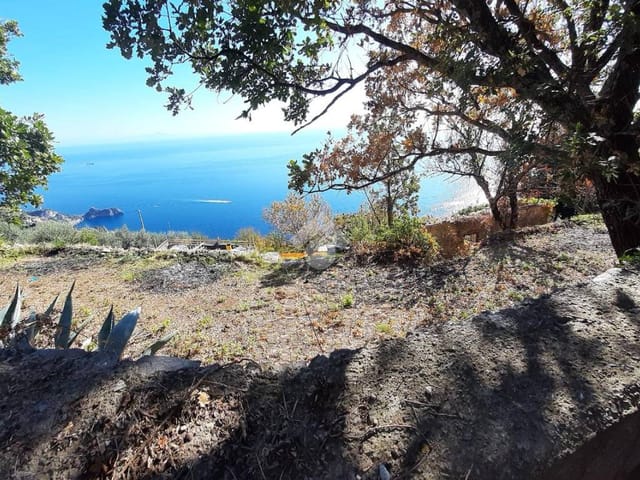 Picture 1