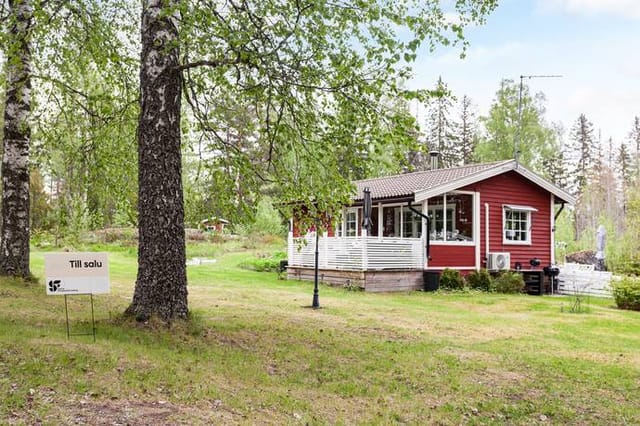 Front view of the house and garden