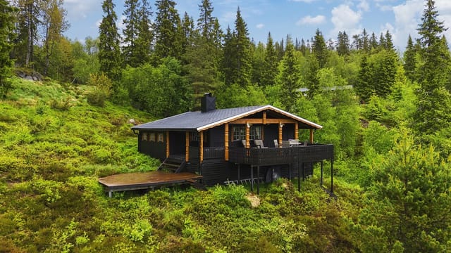 Front view of the cabin