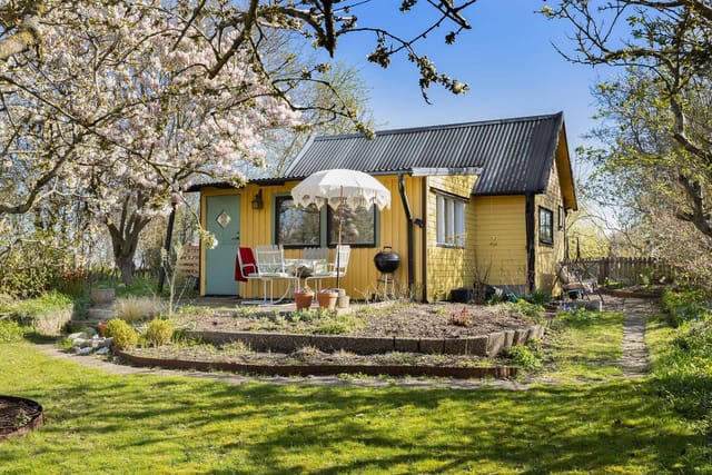 Front view of the cottage and garden