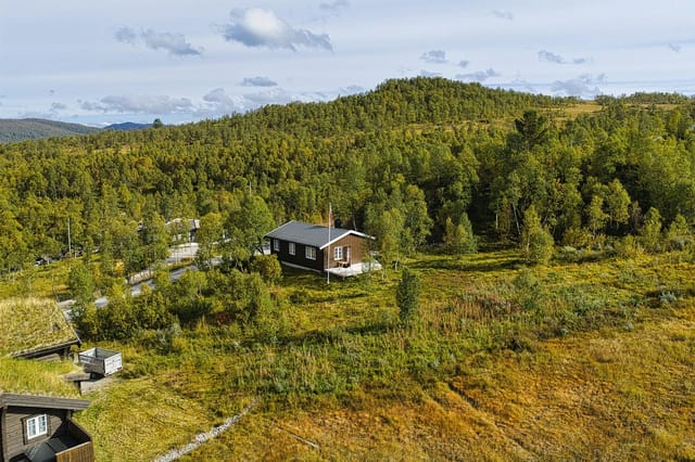 Aerial view of the cabin and surrounding landscape