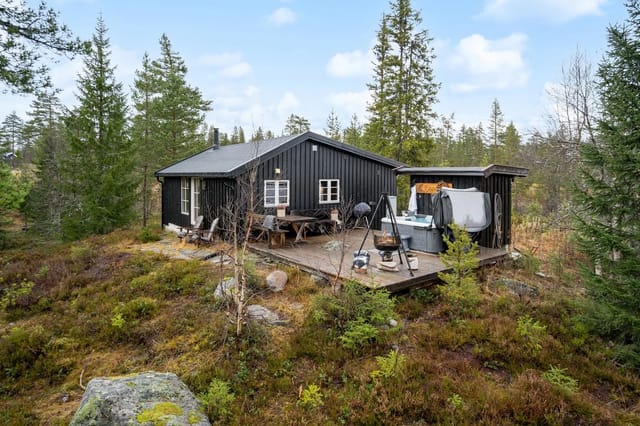 Welcome to Holmevann at Blefjell Nord and the property Kunstelvvegen 7!