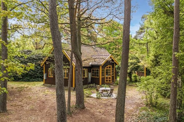Front view of the house and garden