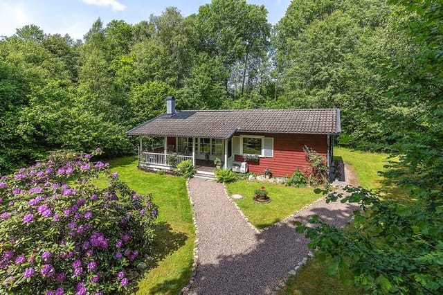 Exterior view of the house and garden