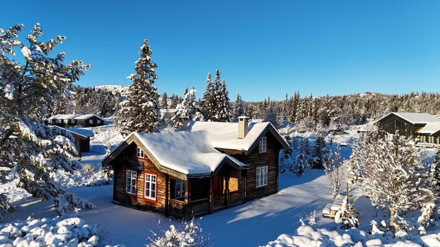 EIE Fjellmegleren presents Bjørkestubben 24!