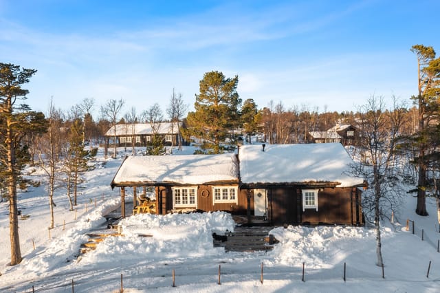 Welcome to Minnilla 28 - beautiful cabin in scenic surroundings at Nerskogen.