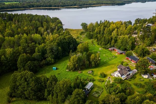 Main house and garden