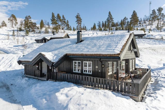 Privatmegleren Hallingdal v/ Thea Viko Eidsgård presents Trollsetlie 28! Photo: Per Andre Andresen