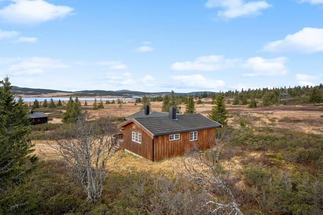 DNB Eiendom v/Ingrid Sunniva Bungum presents Elgåsen 45!