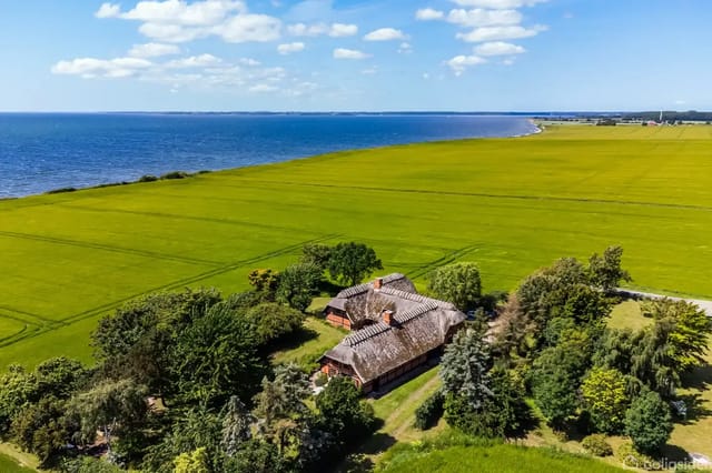 A thatched farmhouse surrounded by lush fields near a coastal stretch with sea views, framed by trees and bushes under a blue sky with scattered clouds.