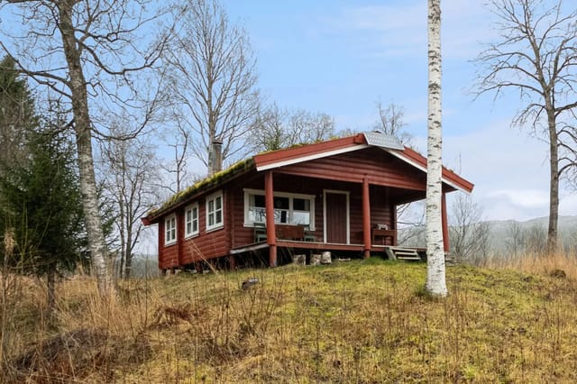 Welcome to the viewing!