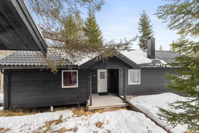 Cabin at Bjørgan in Elgkalvvegen 56 presented for sale! (Photo Martin Hågensen)