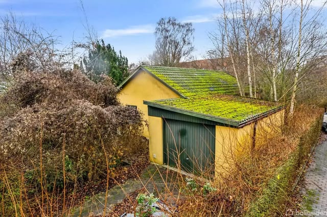 A yellow shed with dark green doors surrounded by lush bushes and trees. The roof is covered with moss, and there is a paved path beside it.