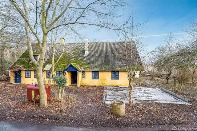 An old yellow house with a moss-covered roof in a forest area. A red oil tank and a bare tree are visible in front of the house.