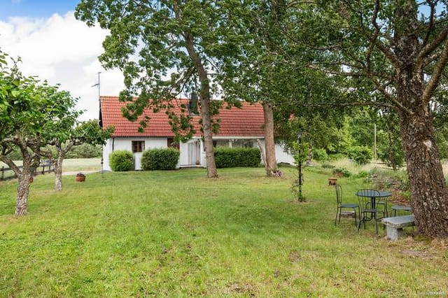 Front view of the house and garden