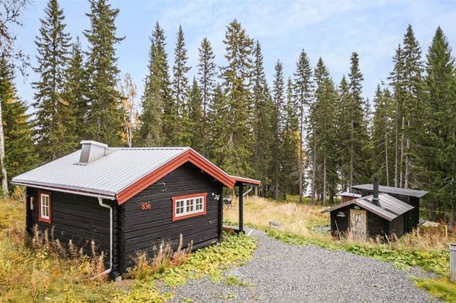 Exterior view of the cabin and plot
