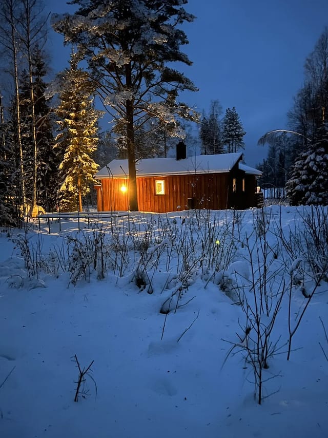 Welcome to Hvitsanden 82! A cozy cabin in the woods near Harasjøen