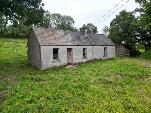 Picture 1