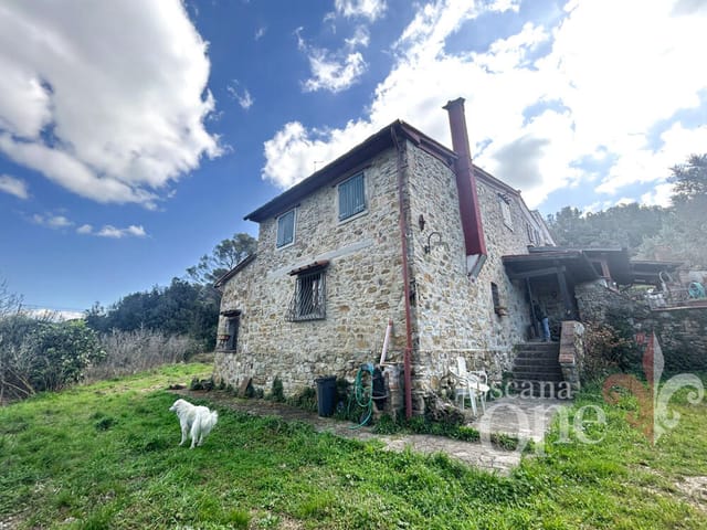 casa leopoldo -4.jpg