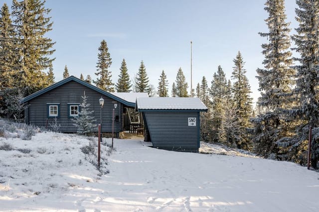 Exterior view of the cabin