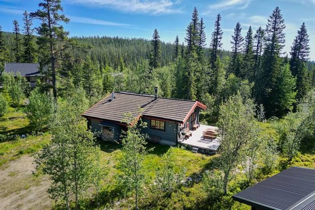 Exterior view of the log cabin