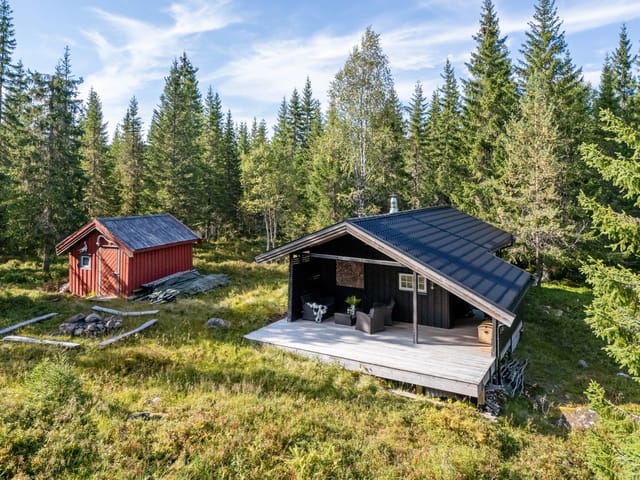 Aktiv eiendomsmegling v/Anders Borgsø presents Fjellvegen 1006