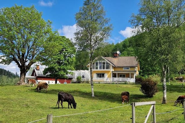 170 m² Farm without agriculture at Björtveten Gärdet Bengtsfors municipality