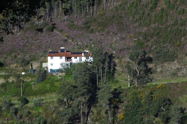 View of Rua de Velogoto