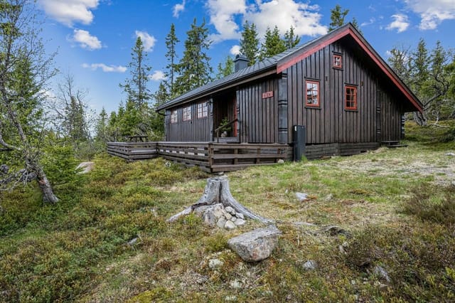 Welcome to Bjønnåsen 461!