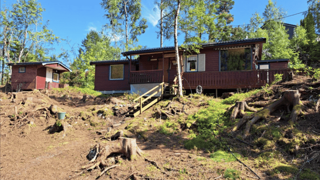 Much of the forest around the cabin was lost during the winter storm.